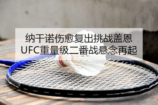 纳干诺伤愈复出挑战盖恩 UFC重量级二番战悬念再起
